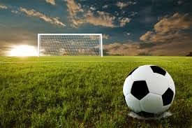 6-8 MSAL Senesh Soccer Team (All Gender) with Coach Dave Suskin