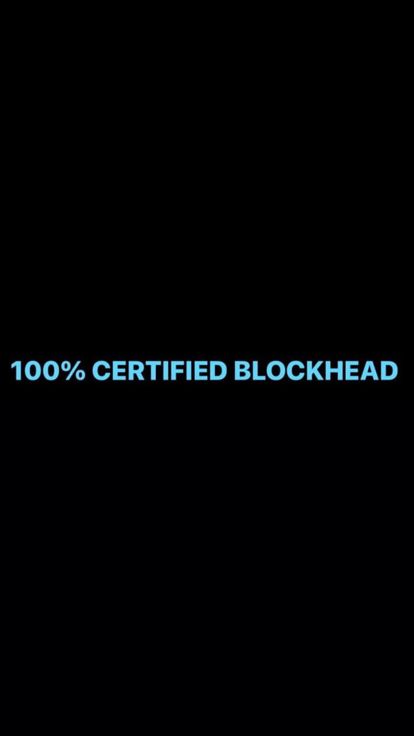 Pre-Order 100% CERTIFIED BLOCKHEAD (Blue Text Joey&#39;s Microphone Colour)
