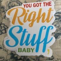 You Got The Right Stuff Baby Bumper Stickers