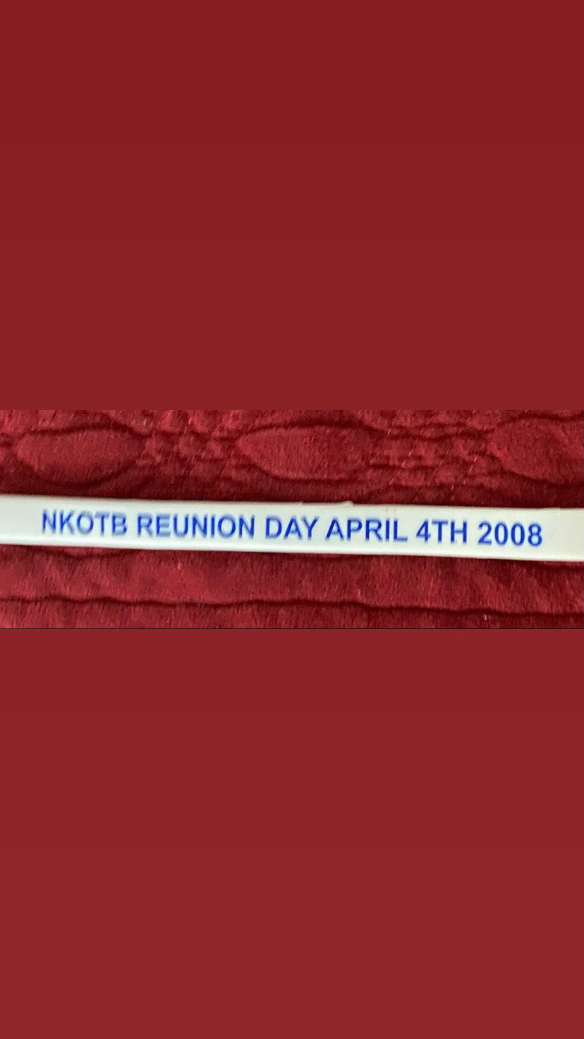 NKOTB REUNION DAY APRIL 4TH 2008 Wristbands Blue Colour
