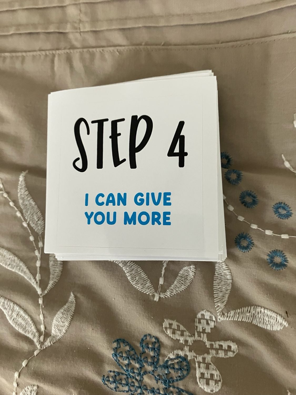 STEP 4 I CAN GIVE YOU MORE Bumper Stickers