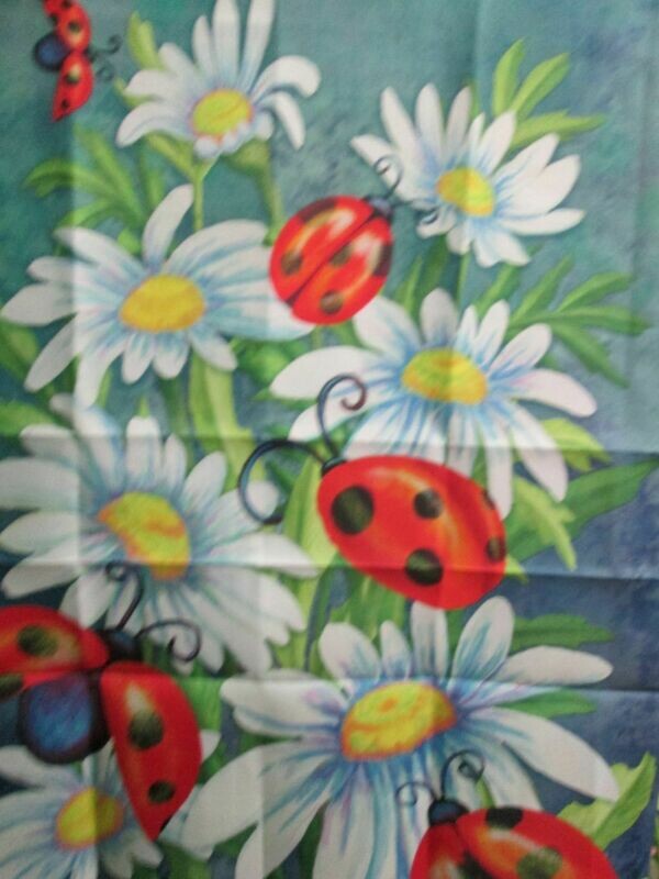 House Banner - Ladybugs &amp; Daisys Approx 28 x 40 inch