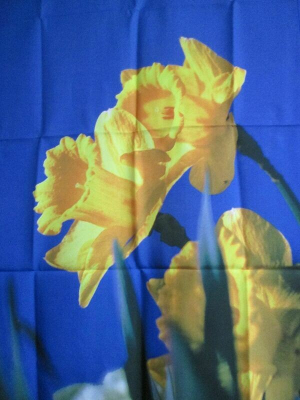 House Banner - Big Daffodils Approx 28 x 40 inch
