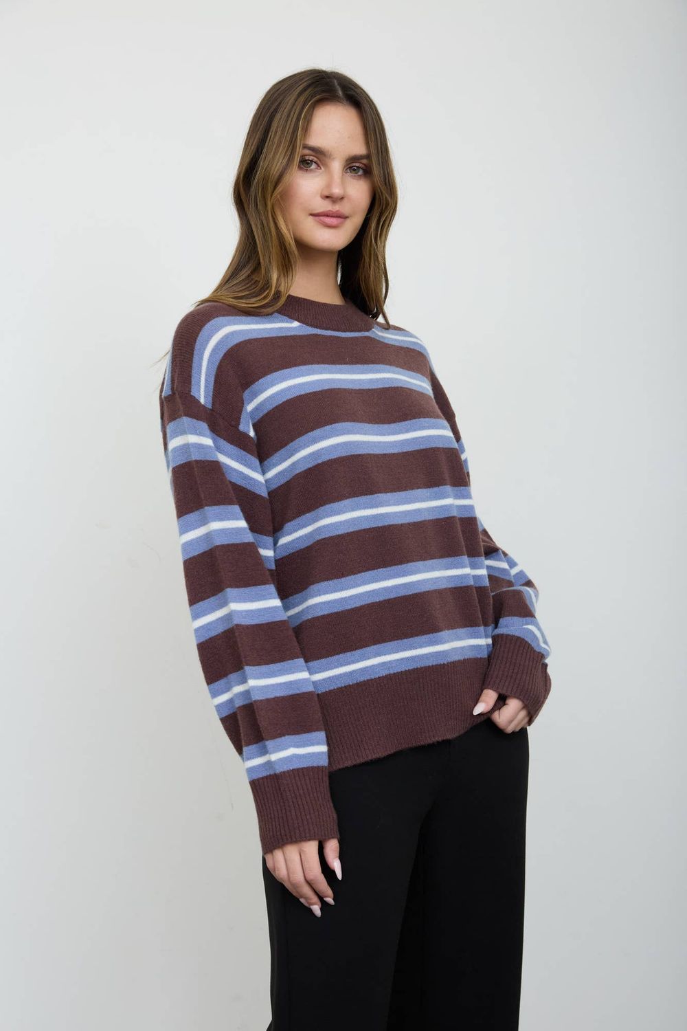 Stripe Crew Neck Relaxed Knit Pullover