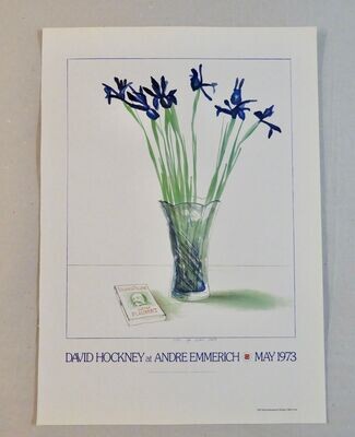 David Hockney Posters by Painters