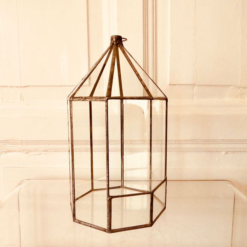 Zimmer Gewächshaus Florarium