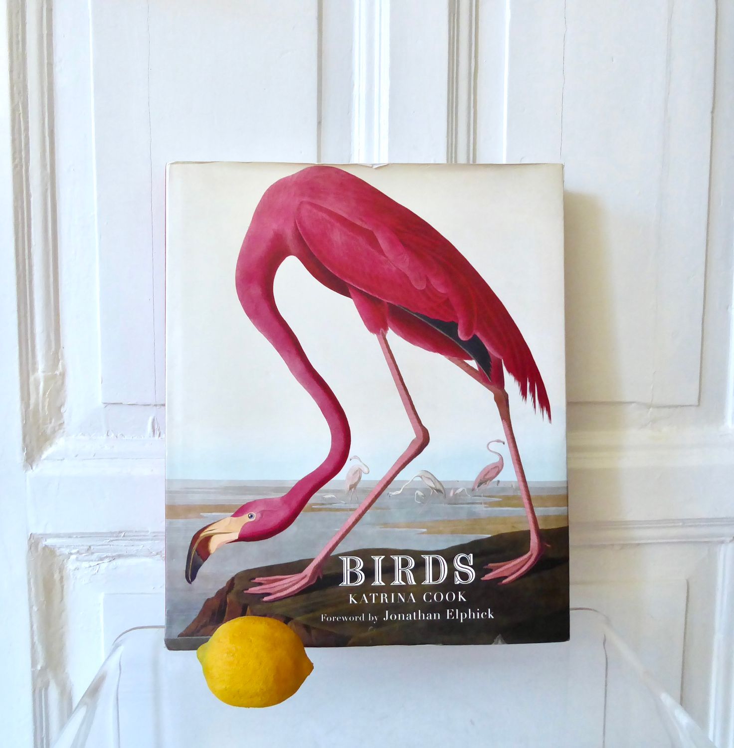 BIRDS Kunst Buch Katrina Cook BIRDS Kunst Buch Katrina Cook