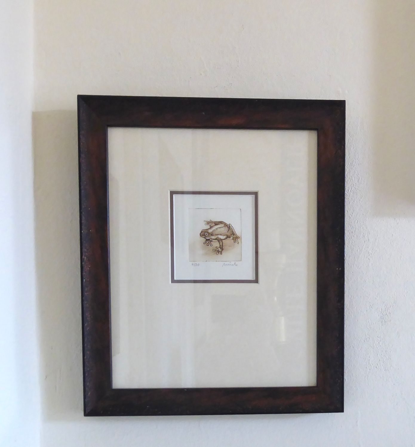 Kupferstich Frosch Original Kunst Bild Kupferstich Frosch Original Kunst Bild