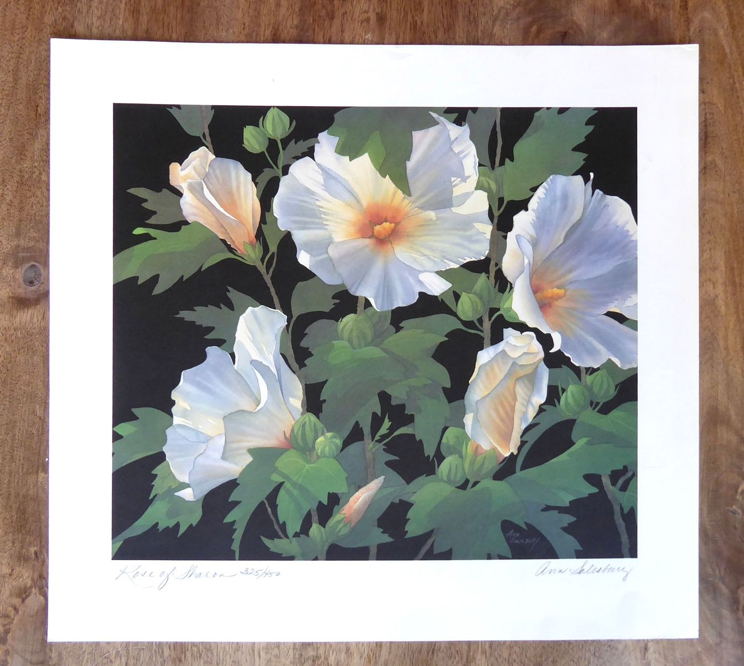 Ann Salisbury Rose of Sharon Bild signiert Ann Salisbury Rose of Sharon Bild signiert