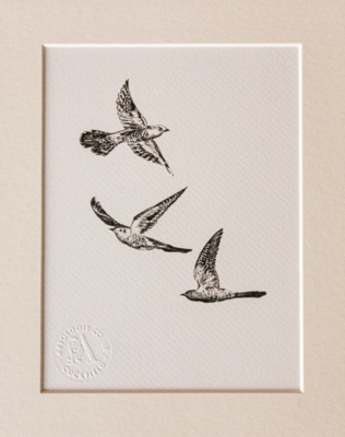 Three Cuckoos print