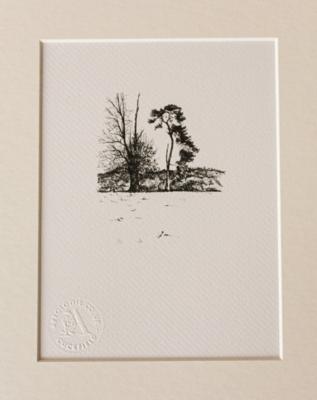 Drawing Print - Two Trees Looking Towards New England Woods