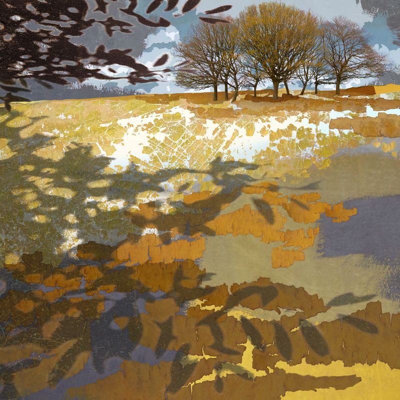The Dance of Shadows