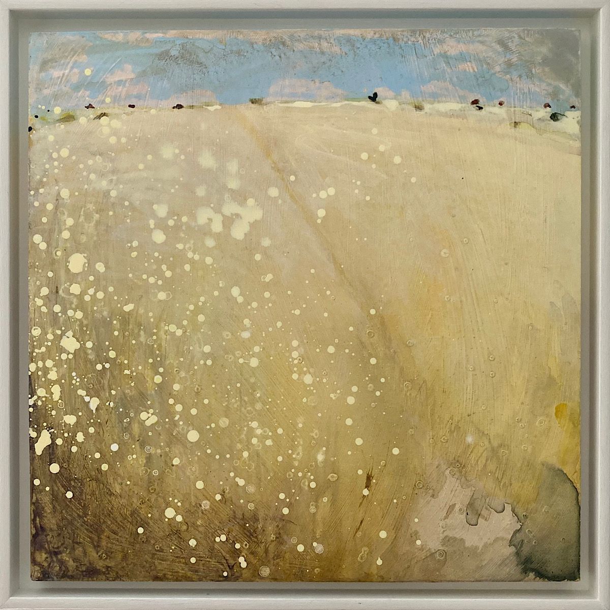 Sun Baked Fields
