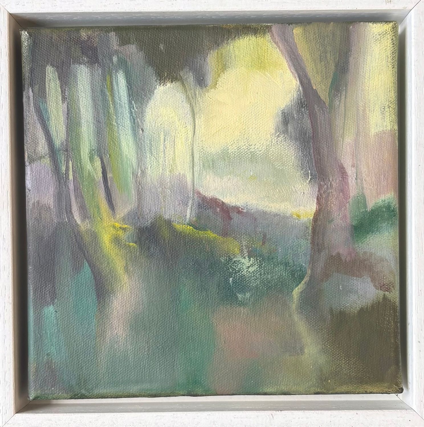 Summer Shade