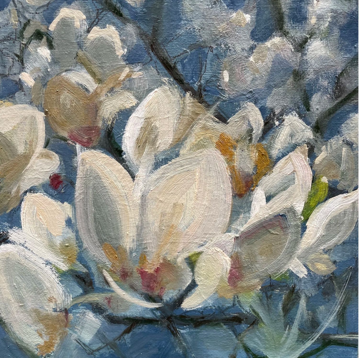Magnolias