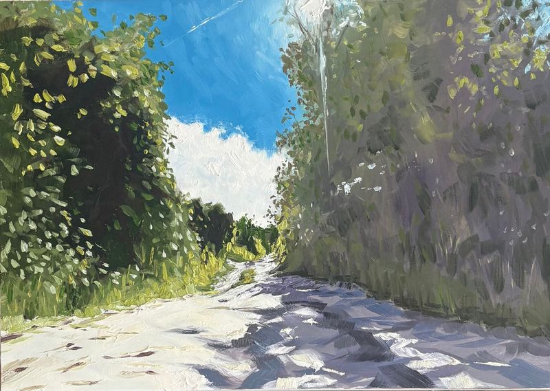 Sunlight Shadow