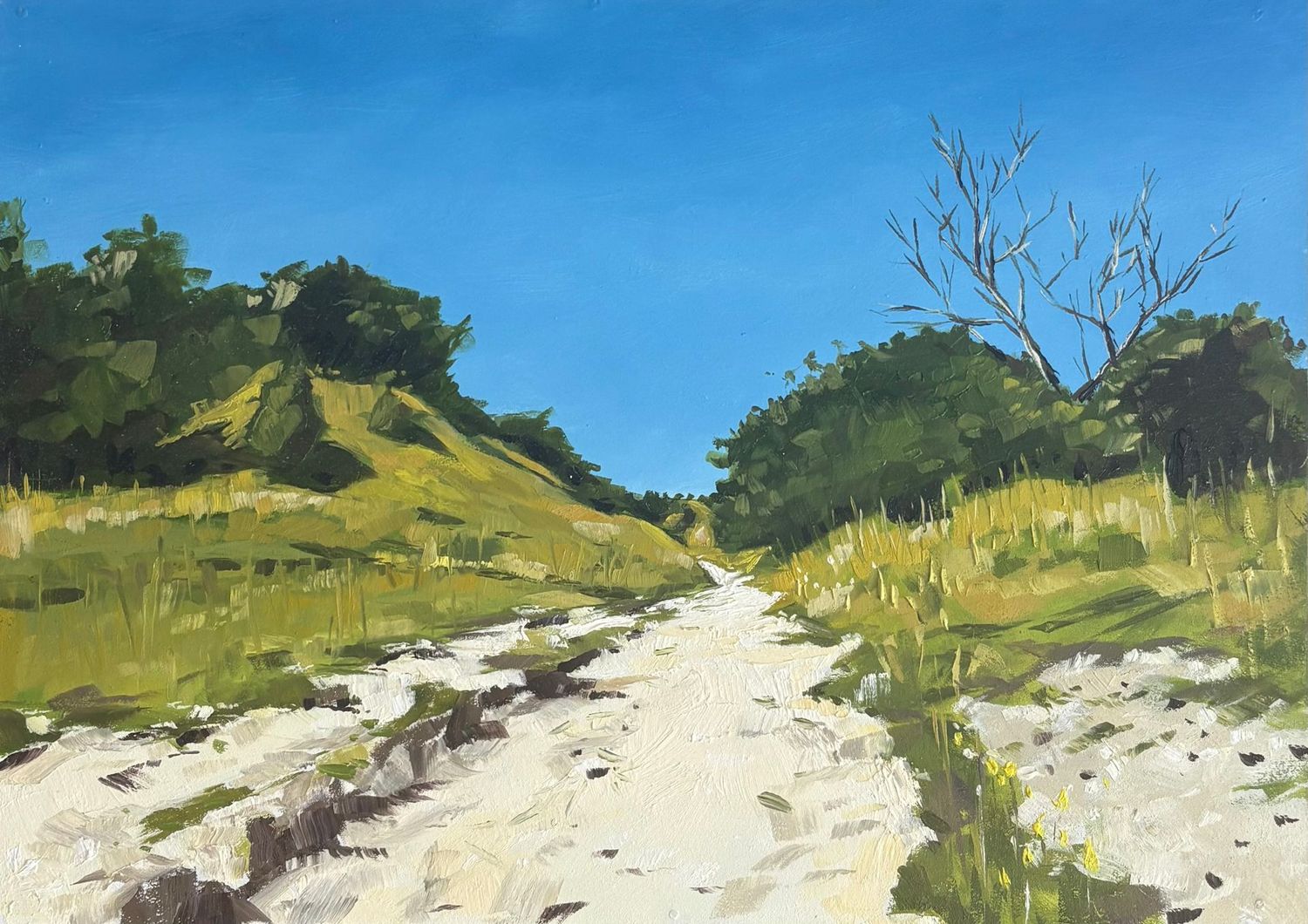 A Walk To The Beacon 2