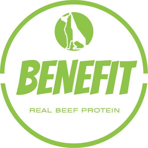Benefit Querétaro