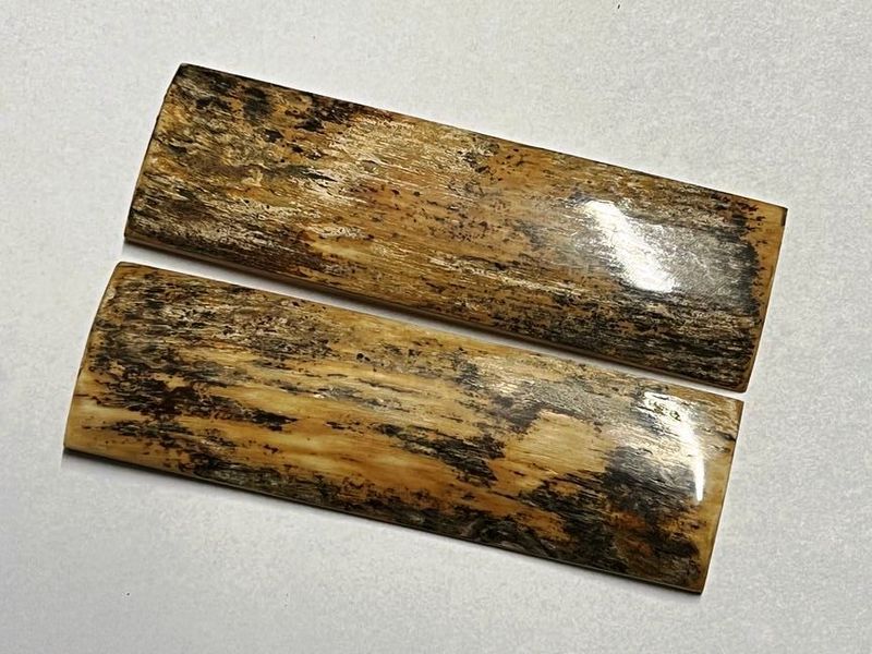 Große Griffbeschalung  Mammutelfenbein, Top Qualität,  nicht stabilisiert, für alle hier angebotenen Messerbausätze (Nr. 6)