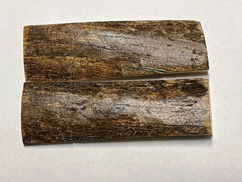 Große Griffbeschalung  Mammutelfenbein, Top Qualität,  nicht stabilisiert, für alle hier angebotenen Messerbausätze (Nr. 16)