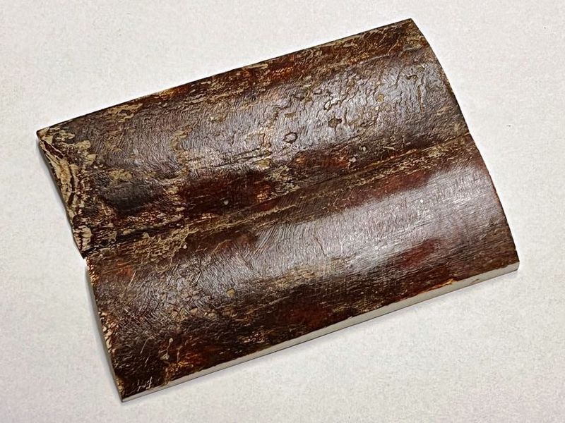 Große Griffbeschalung  Mammutelfenbein, Top Qualität,  nicht stabilisiert, für alle hier angebotenen Messerbausätze (Nr. 17)