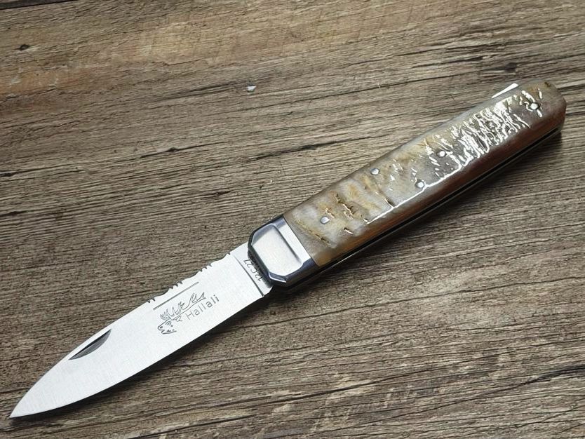 Couteau Chasse  Douris Chastel, Modell Hallali, Griff Widderhorn, schweres Jagdmesser mit Back-Lock-Verriegelung,  Coutellerie Goyon-Chazeau, Messer Nr. 1