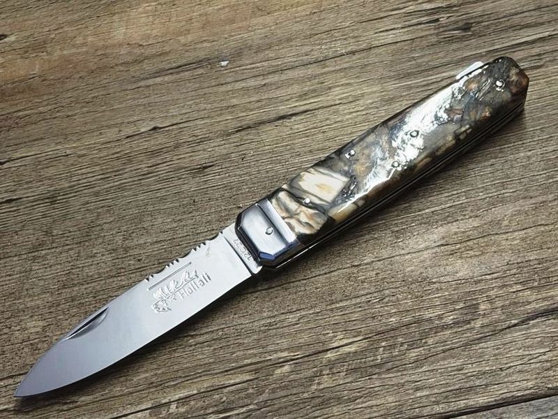 Couteau Chasse  Douris Chastel, Modell Hallali, Griff Mammutelfenbein- Fusion mit schwarzem Liseres,  schweres Jagdmesser mit Back-Lock-Verriegelung,  Coutellerie Goyon-Chazeau