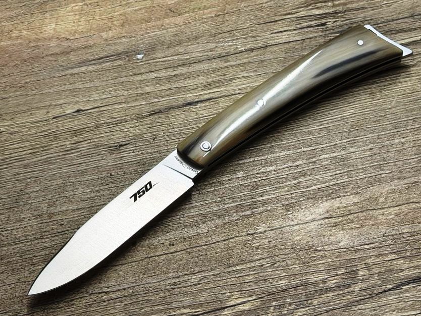 Bikermesser  750 von Goyon-Chazeau.  Design Vincent Soucille und Robert Beillonnet, Griff geflammte Hornspitze, Etui, Messer Nr. 1