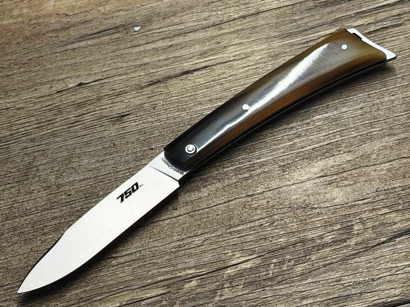 Bikermesser  750 von Goyon-Chazeau.  Design Vincent Soucille und Robert Beillonnet, Griff geflammte Hornspitze, Etui, Messer Nr. 2