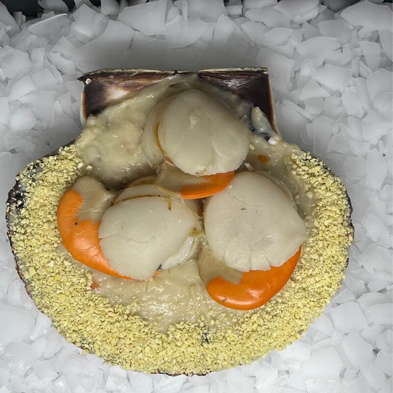 Coquille Saint-Jacques Vent et Marée Cuisinée