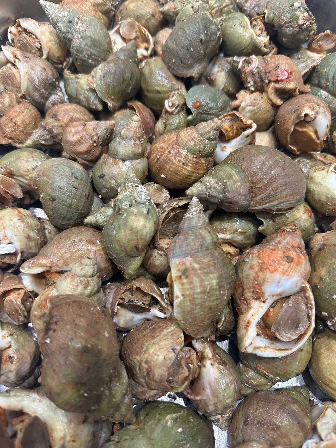 Bulots cuisinés à la provençale avec tomates et herbes aromatiques