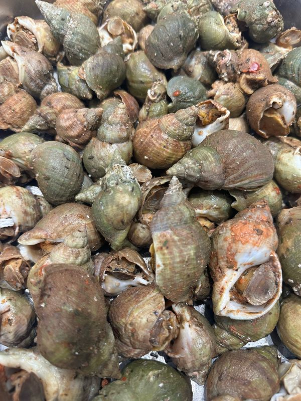 Bulots cuisinés à la provençale avec tomates et herbes aromatiques