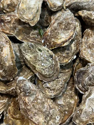 HUITRES