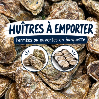 Huîtres fines et spéciales sélectionnés par votre poissonnier