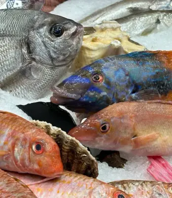Poissons entiers et filets frais prêts à cuisiner