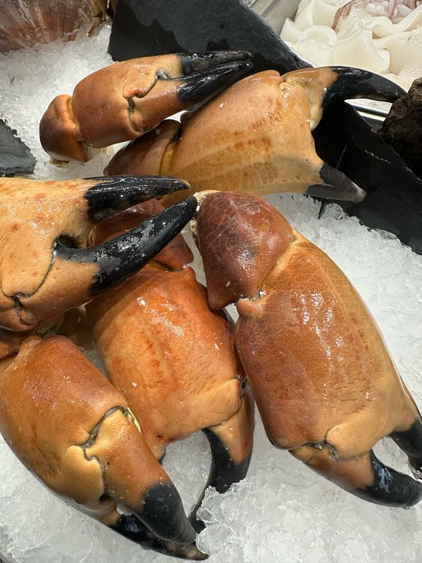 Pince de crabe XXl, grosse pince de crabe à la chair généreuse et savoureuse 