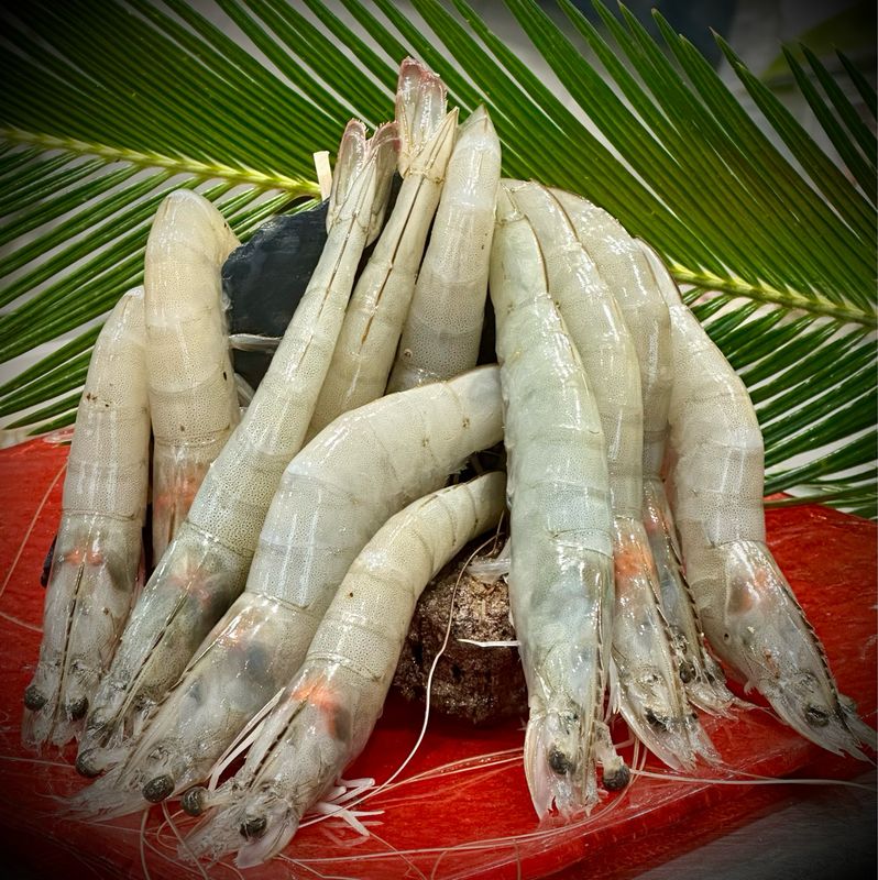 Gambas crues entières fraîches, prêtes à griller à la plancha ou au barbecue
