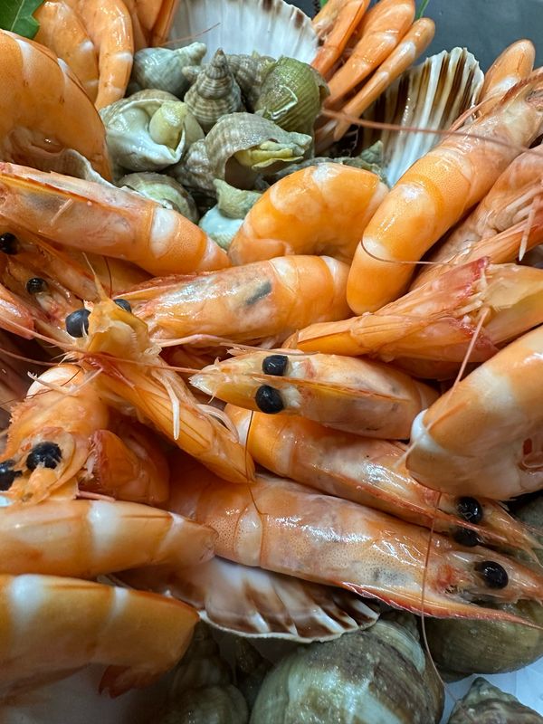 Crevettes roses cuites entières, belle taille environ 45g