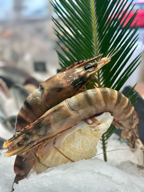Gambas crues XXL entières, pièces géantes idéales à la plancha ou au barbecue 