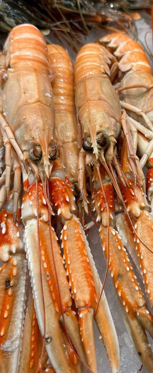 Langoustines royales XXL cuites, fraîches et entières 