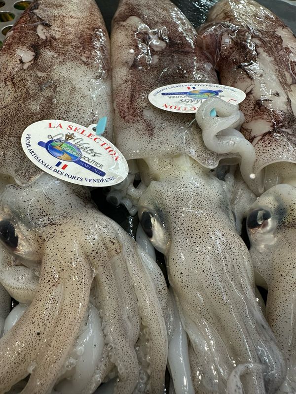 Encornets frais entiers, pêche de Vendée