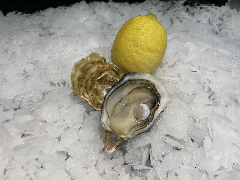 Huîtres Fines de Mer N°3