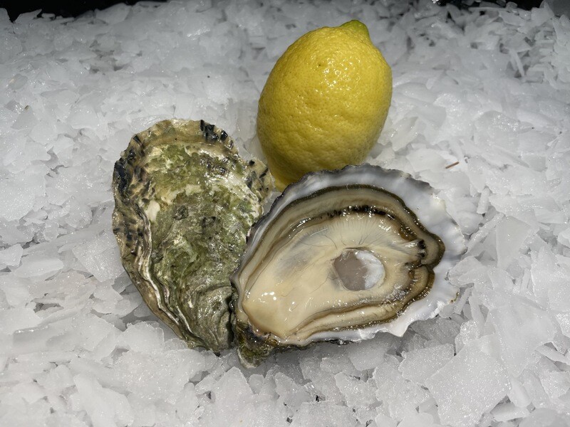 Huîtres fines de mer N°2, chair fine et iodée
