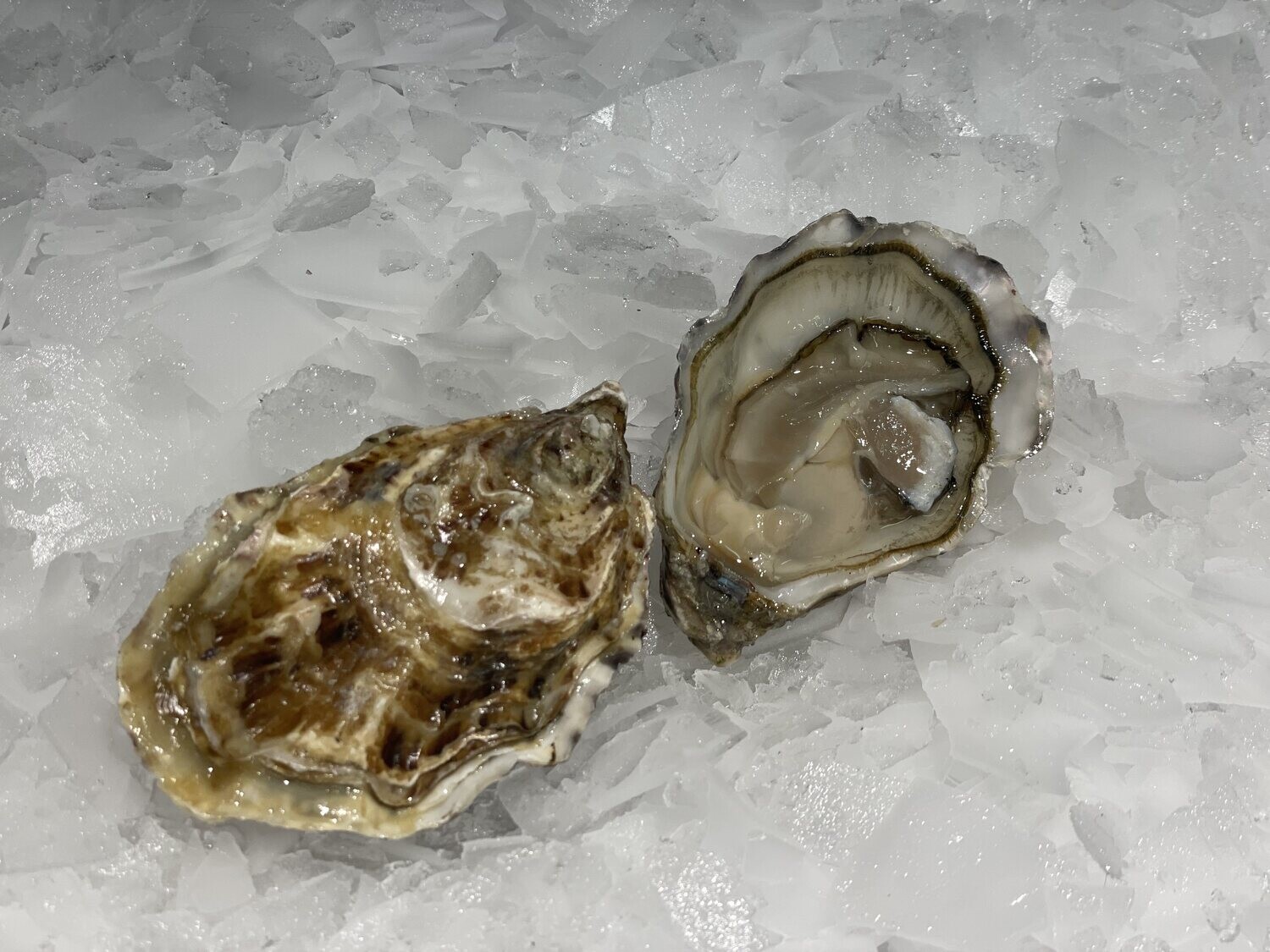 Huîtres spéciales de mer N°3, chair charnue et goût intense 