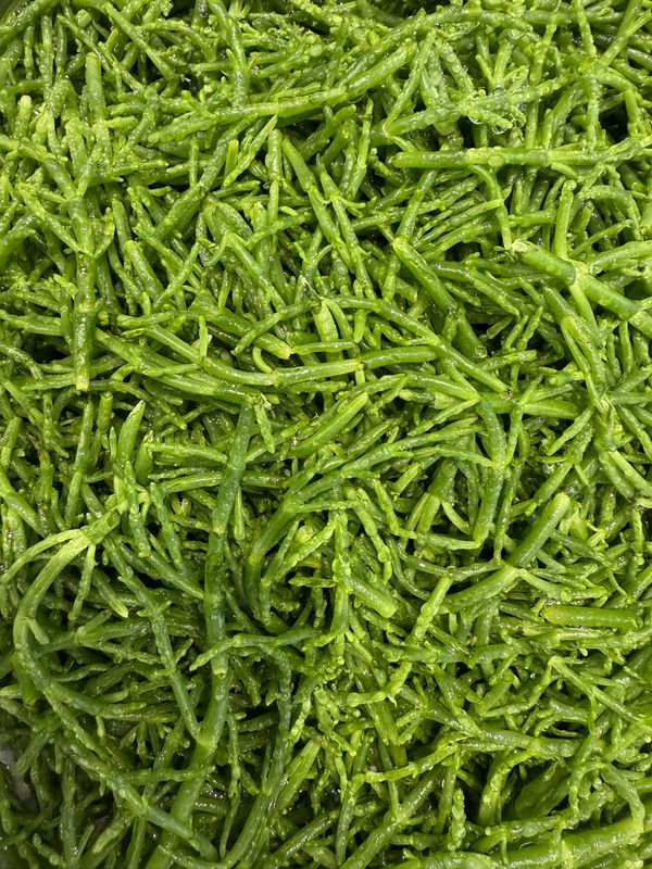 Salicoques fraîches, légumes marins croquants et iodés