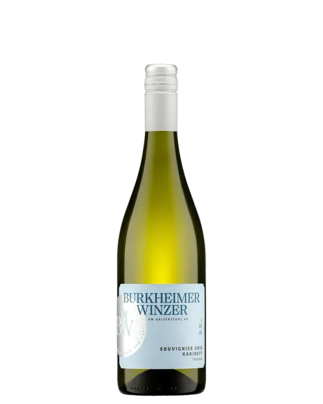 Souvignier Gris trocken   NEU