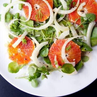Fennel and Grapefruit Salad