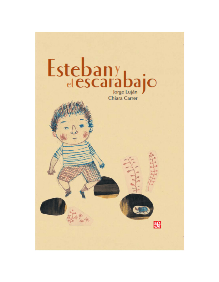 Esteban y el escarabajo