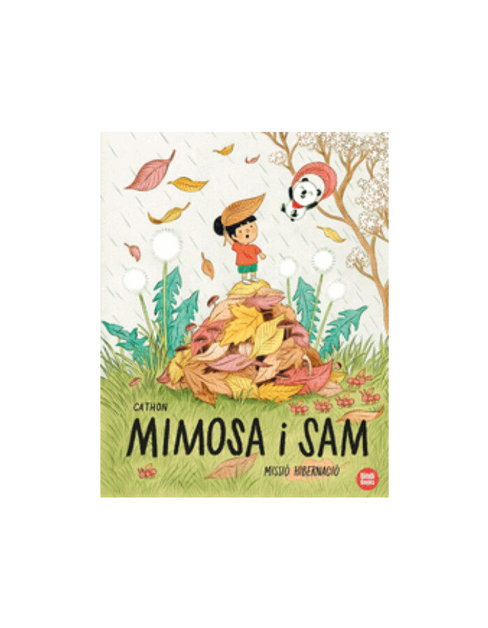 MIMOSA I SAM 3 MISSIO HIBERNACIO - CAT