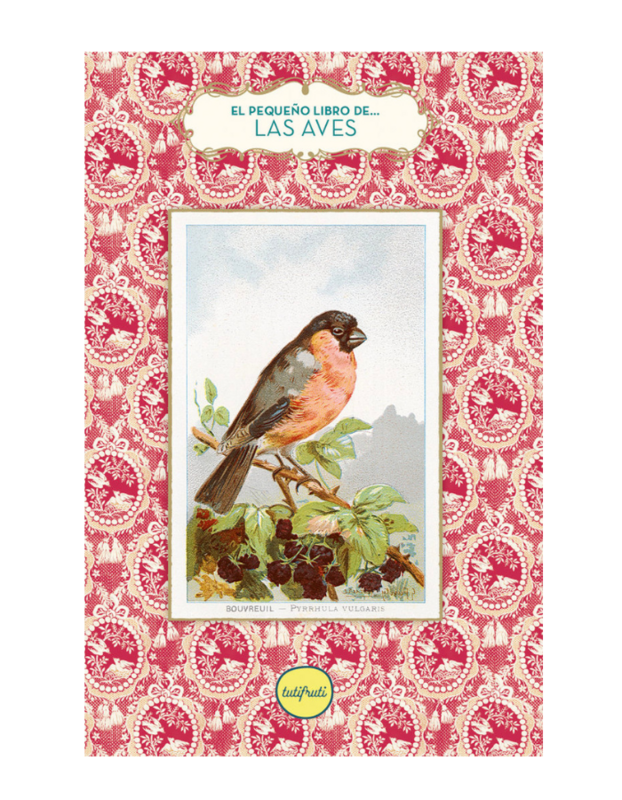 EL PEQUEÑO LIBRO DE LAS AVES